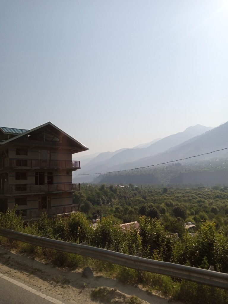 IMG_20240612_082946_332