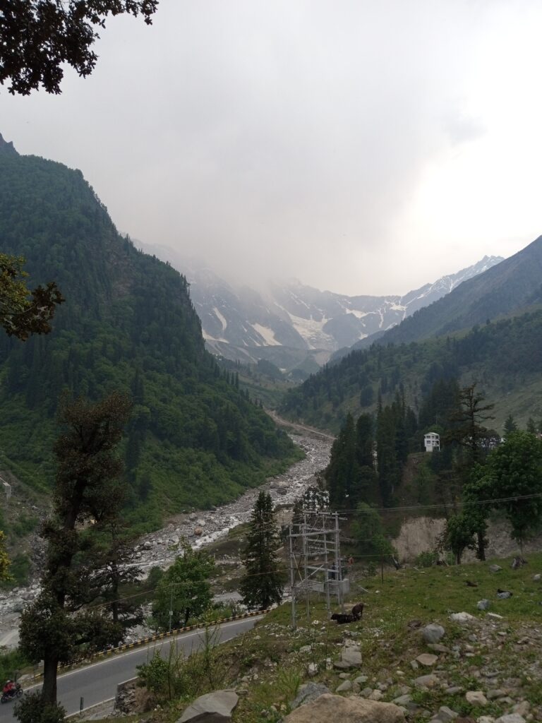 IMG_20240612_164152_948